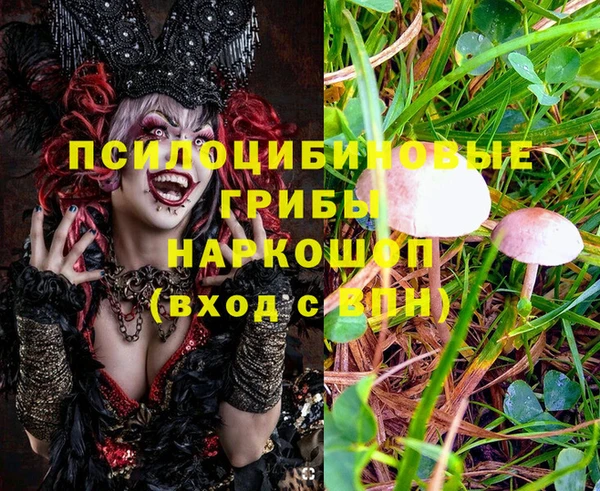 спиды Каменск-Шахтинский