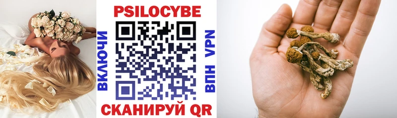 Галлюциногенные грибы Psilocybe Купить закладки Пыталово